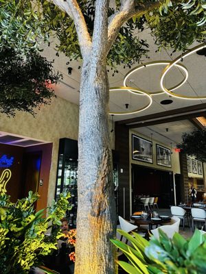 Serafina Downtown Miami | Italian Restaurant & Wine Bar by null