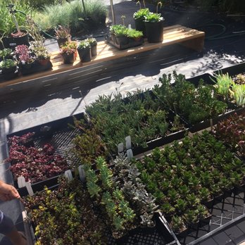 Evergreen Farm - Nurseries & Gardening Near Me - San Jose, California Evergreen Farm - Nurseries & Gardening Near Me - San Jose, California