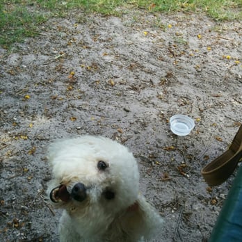 Kennedy Park Dog Park - Dog Parks Near Me - Coconut Grove, Florida