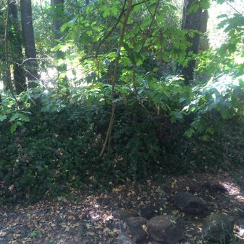 Markham Nature Park & Arboretum - Parks Near Me - Concord, California