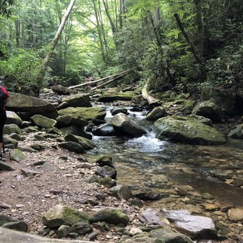 Devil's Bathtub - One of the streams you may encounter - Hiking Near Me - Dungannon, Virginia