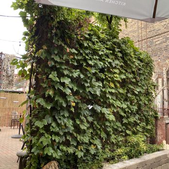 The Perch - View of the side patio - Breweries Near Me - Chicago, Illinois The Perch - View of the side patio - Breweries Near Me - Chicago, Illinois