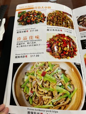 Hunan Chef by null