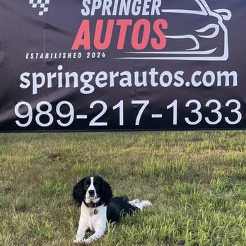 Springer Autos - Used Car Dealers Near Me - Gaylord, Michigan Springer Autos - Used Car Dealers Near Me - Gaylord, Michigan