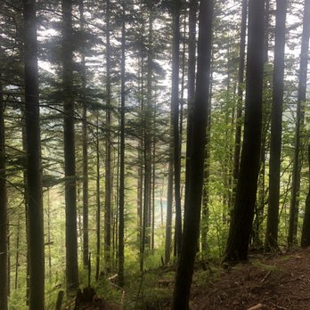 Rattlesnake Ledge Trail - Up the trailhead - Hiking Near Me Rattlesnake Ledge Trail - Up the trailhead - Hiking Near Me
