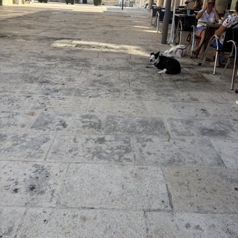 Le Bistro du Commerce - Lunch Al Fresco and doggy welcome ( if calm ) - Bistros Near Me - Miramont-de-Guyenne, 47 Le Bistro du Commerce - Lunch Al Fresco and doggy welcome ( if calm ) - Bistros Near Me - Miramont-de-Guyenne, 47