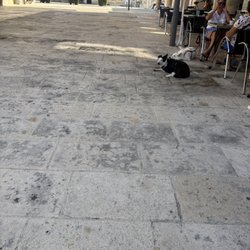 Le Bistro du Commerce - Lunch Al Fresco and doggy welcome ( if calm )