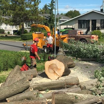 Progazon - Landscaping Near Me - Saint-Lambert, Quebec Progazon - Landscaping Near Me - Saint-Lambert, Quebec
