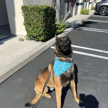 The Dog Stop - Tustin - Pet Groomers Near Me - Tustin, California The Dog Stop - Tustin - Pet Groomers Near Me - Tustin, California