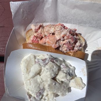 Bite Into Maine - Chipotle roll and potato salad - Seafood Near Me - Cape Elizabeth, Maine Bite Into Maine - Chipotle roll and potato salad - Seafood Near Me - Cape Elizabeth, Maine