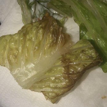 Zeko's Mediterranean Grill - Rotten lettuce - Seafood Near Me - Tampa, Florida Zeko's Mediterranean Grill - Rotten lettuce - Seafood Near Me - Tampa, Florida