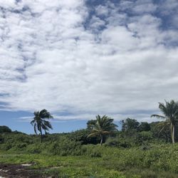 Playa Plata / Silver Beach - Silver Beach