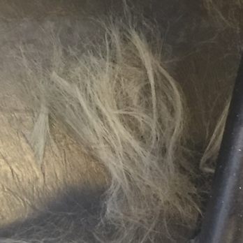 Eros Salon & Spa - Damaged hair cut off - Hair Salons Near Me - Chicago, Illinois