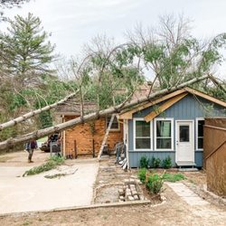 Kings Tree Service
