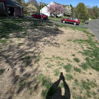 Green Meadow Lawn Care - The last before picture - Lawn Services Near Me - Ellington, Connecticut