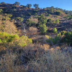 Spahn's Movie Ranch - August 2022