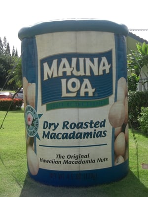 Mauna Loa Macadamia Nut Visitor Center by null