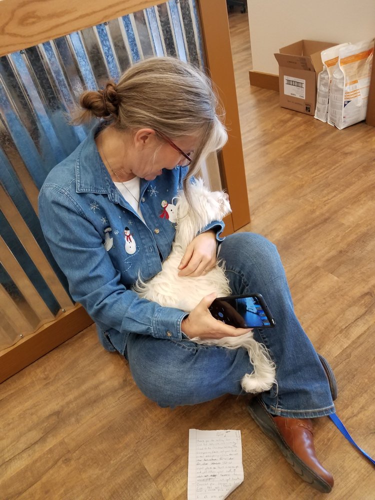 LOW COST PET VET 37 Photos & 33 Reviews 3202 W Irving Blvd, Irving