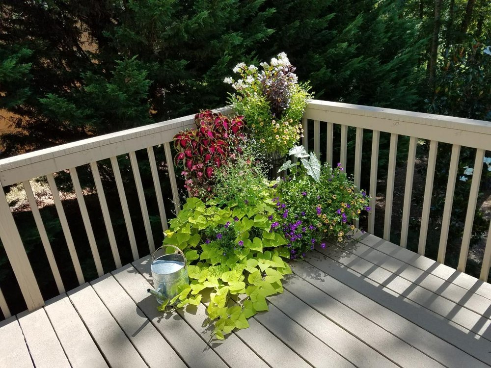 OUTDOOR ENVIRONMENTS Updated May 2024 68 Zion Church Rd, Braselton