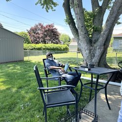 Mitsdarfer Brothers Tree Service - Before removal of maple tree