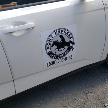 Pony Express Pest Control - Pony Express Pest control, Call them today!! - Pest Control Near Me Pony Express Pest Control - Pony Express Pest control, Call them today!! - Pest Control Near Me