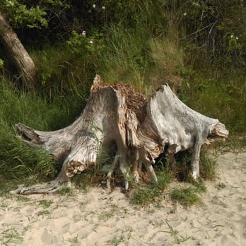 Strand - Beaches Near Me - Wohlenberg, MV Strand - Beaches Near Me - Wohlenberg, MV