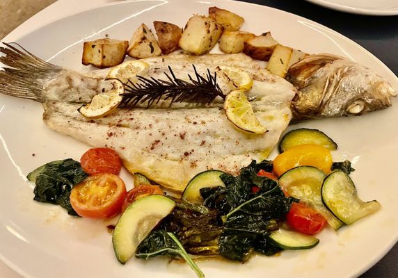 Stella's Cucina by null
