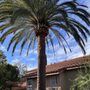 Photo of Malpartida Tree Service