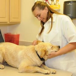 Total Pet Care