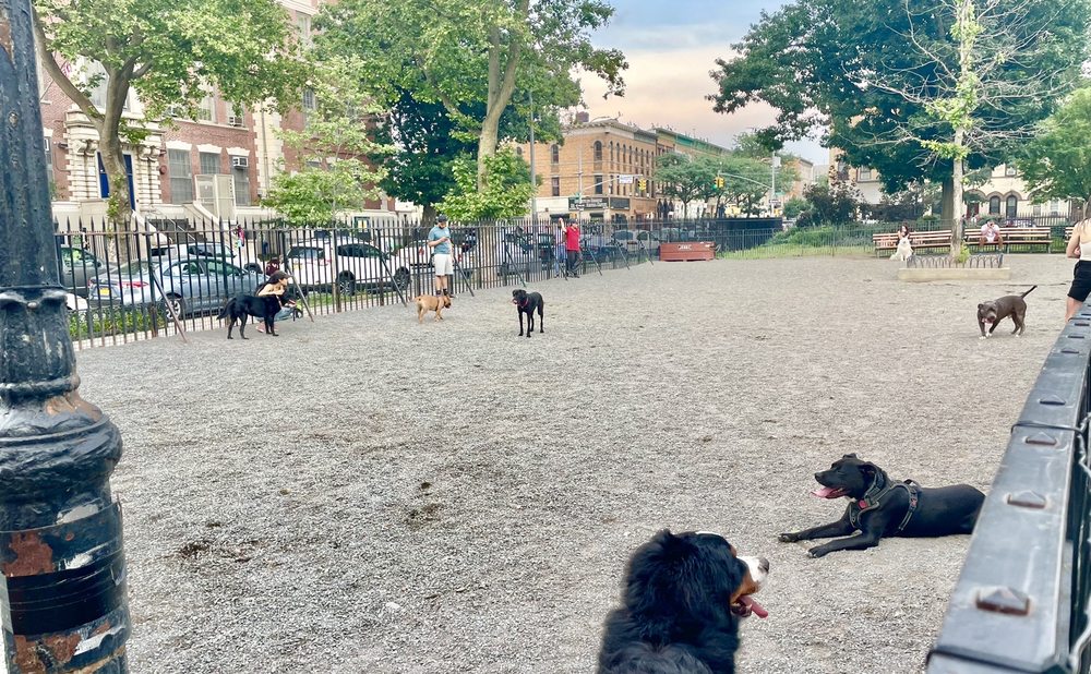 MARIA HERNANDEZ PARK Updated September 2024 19 Photos & 34 Reviews