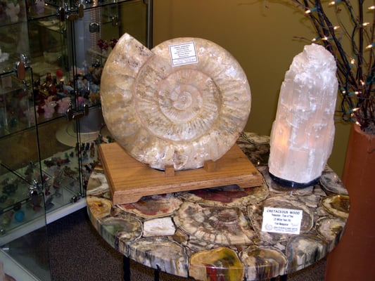 ZRS Fossils & Gifts by null
