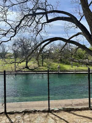 Barton Springs Municipal Pool by null