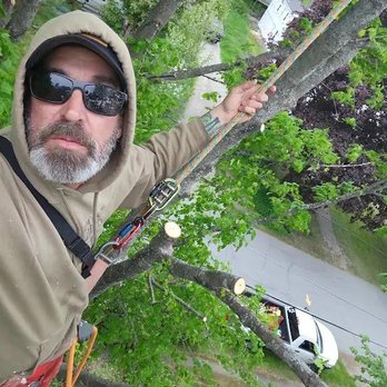 Dirty Work - Tree Services Near Me