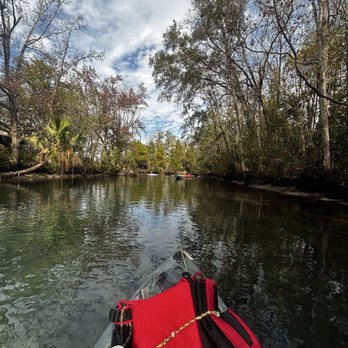 Crystal River Kayak Company - View paddling out from the dock of Crystal River Kayak Company - Rafting/Kayaking Near Me - Crystal River, Florida