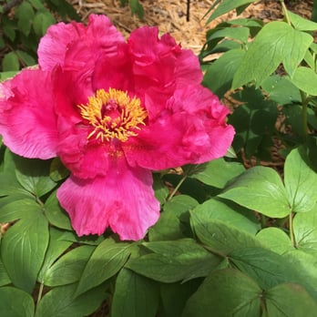 Lauritzen Gardens - Venues & Event Spaces Near Me - Omaha, Nebraska