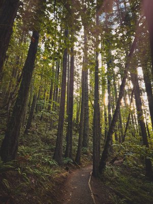 Spencer Butte Trailhead by null