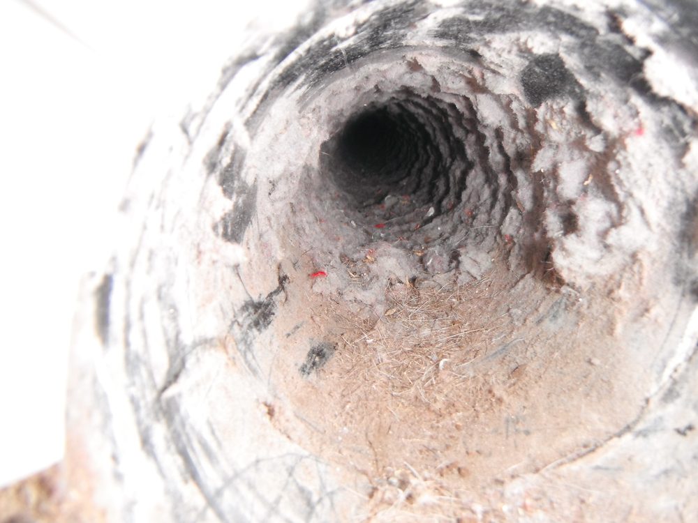 SHAKASWEEPERS Updated September 2024 15 Reviews Makawao, Hawaii