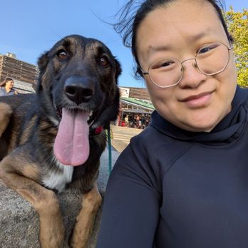 Baynine Dog Training - We have a long way to go but this is literally life changing - Pet Training Near Me Baynine Dog Training - We have a long way to go but this is literally life changing - Pet Training Near Me