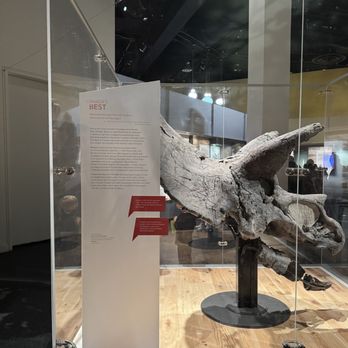 Royal Tyrrell Museum - Museums Near Me - Drumheller, Alberta Royal Tyrrell Museum - Museums Near Me - Drumheller, Alberta