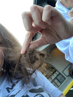 Quality Inn & Suites Gilroy by null