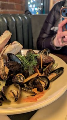 The Gahan House by null