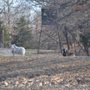 Photo of Record Breaking Ranch