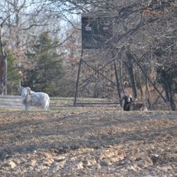 Record Breaking Ranch