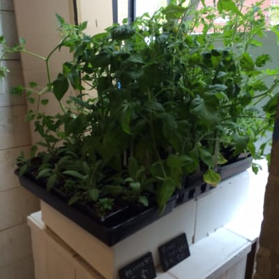 Santropol Roulant by null