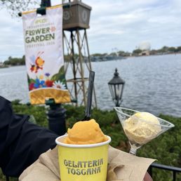 Mango sorbetti and pistachio