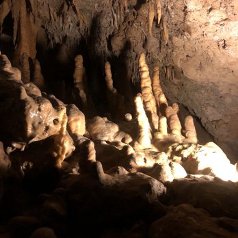 Florida Caverns State Park - Parks Near Me - Marianna, Florida Florida Caverns State Park - Parks Near Me - Marianna, Florida