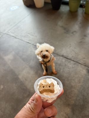 MOE COFFEE-NORTH PARK by null