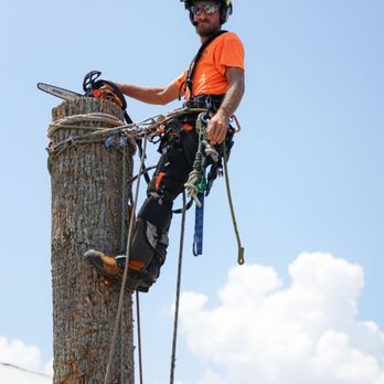 Rood Feller - Tree Services Near Me Rood Feller - Tree Services Near Me