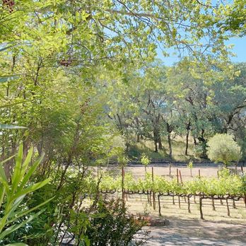 Beringer Vineyards - Wineries Near Me - St. Helena, California
