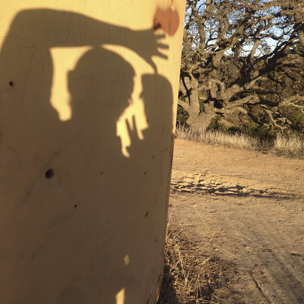 Lime Ridge Open Space - Shadow Play. - Parks Near Me - Walnut Creek, California